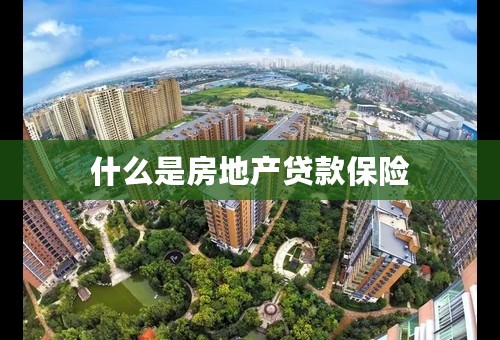 什么是房地产贷款保险