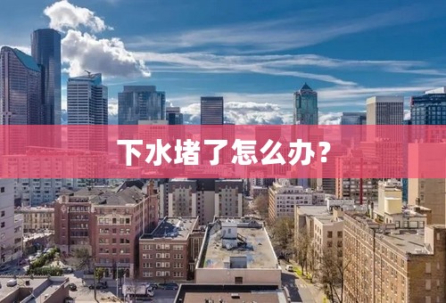 下水堵了怎么办？