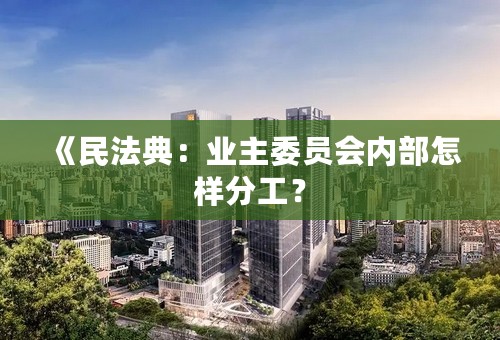 《民法典：业主委员会内部怎样分工？