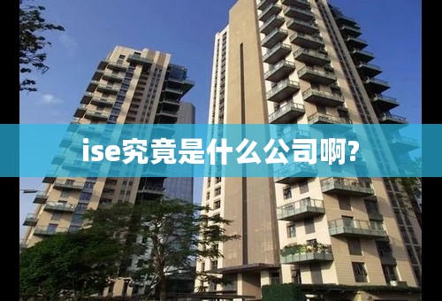 ise究竟是什么公司啊?