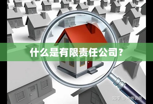 什么是有限责任公司？