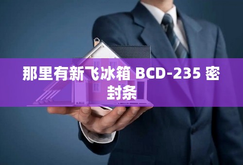 那里有新飞冰箱 BCD-235 密封条