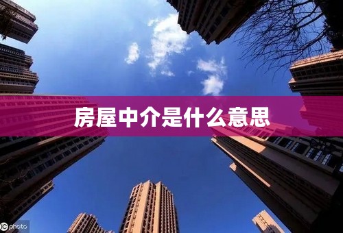 房屋中介是什么意思