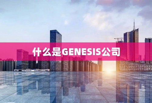 什么是GENESIS公司