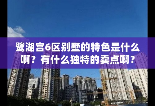 鹭湖宫6区别墅的特色是什么啊？有什么独特的卖点啊？