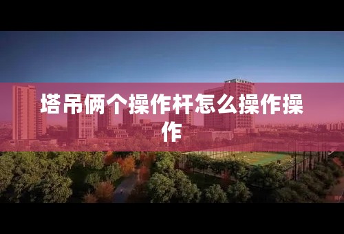 塔吊俩个操作杆怎么操作操作