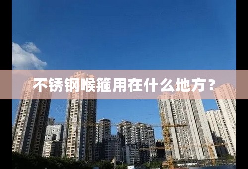 不锈钢喉箍用在什么地方？