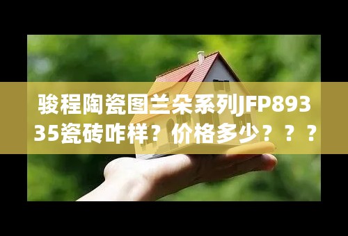 骏程陶瓷图兰朵系列JFP89335瓷砖咋样？价格多少？？？