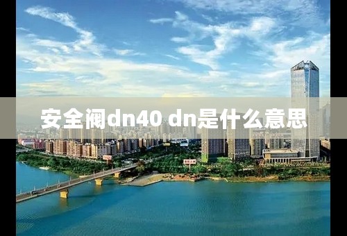 安全阀dn40 dn是什么意思