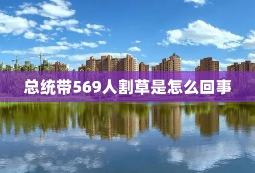 总统带569人割草是怎么回事