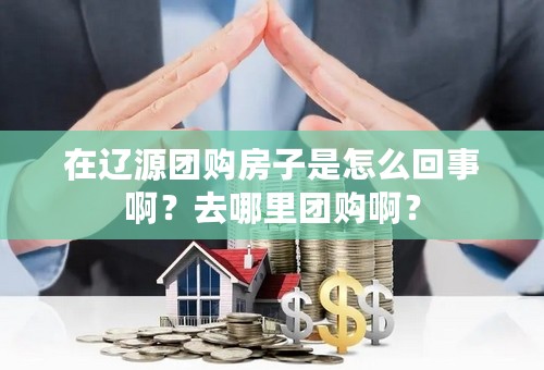 在辽源团购房子是怎么回事啊？去哪里团购啊？