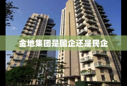 金地集团是国企还是民企