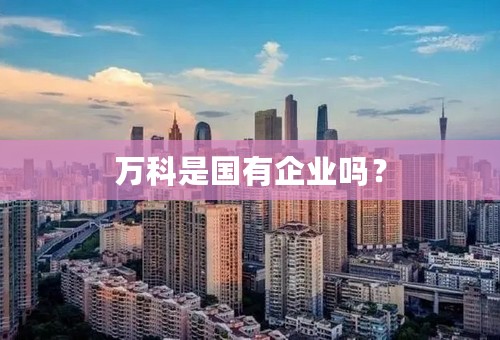 万科是国有企业吗？