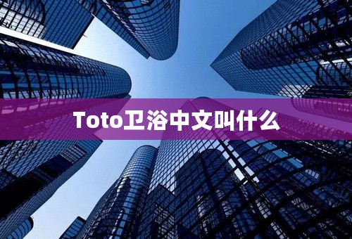 Toto卫浴中文叫什么