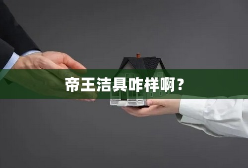 帝王洁具咋样啊？