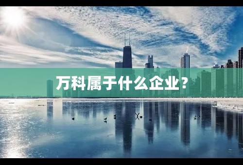 万科属于什么企业？