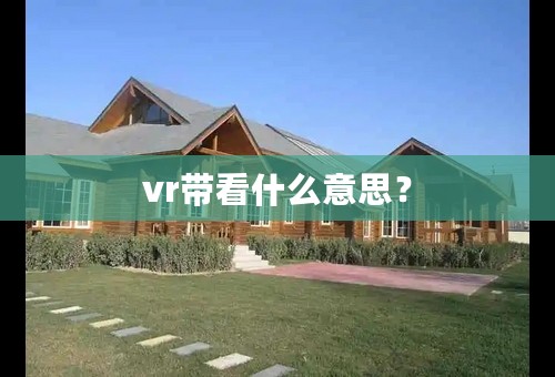 vr带看什么意思？