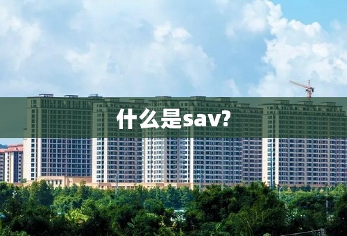 什么是sav?