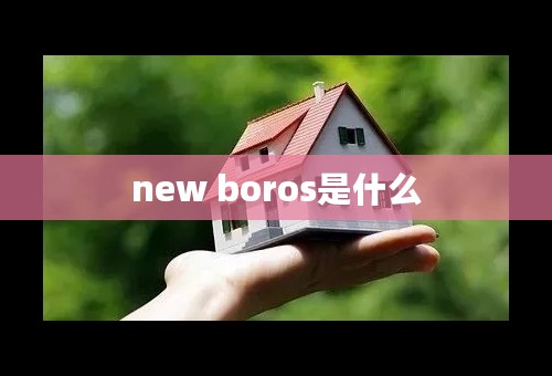 new boros是什么