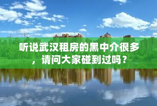 听说武汉租房的黑中介很多，请问大家碰到过吗？