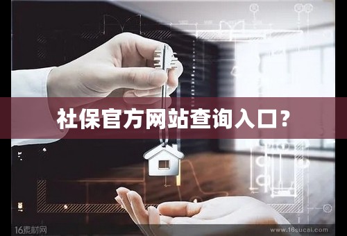 社保官方网站查询入口？