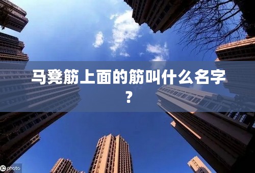 马凳筋上面的筋叫什么名字？