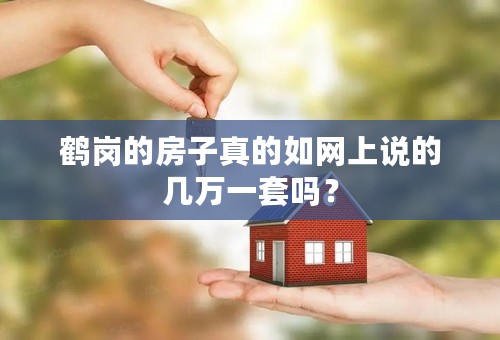 鹤岗的房子真的如网上说的几万一套吗？