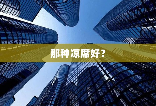 那种凉席好？