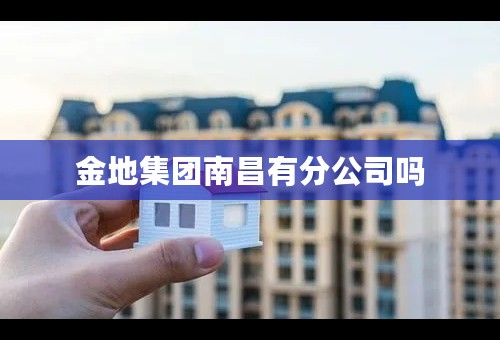 金地集团南昌有分公司吗