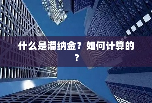 什么是滞纳金？如何计算的？