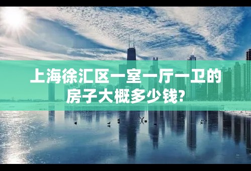 上海徐汇区一室一厅一卫的房子大概多少钱?