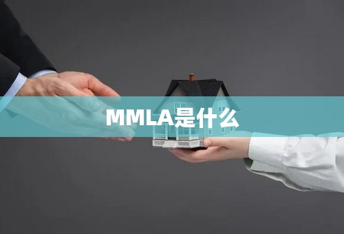 MMLA是什么