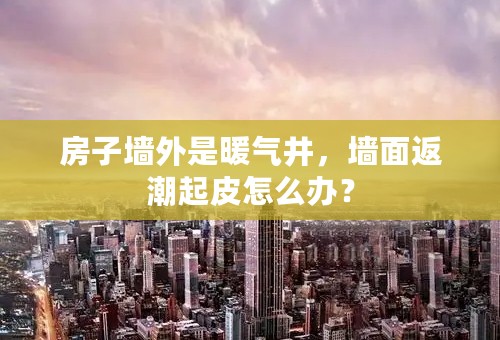 房子墙外是暖气井，墙面返潮起皮怎么办？