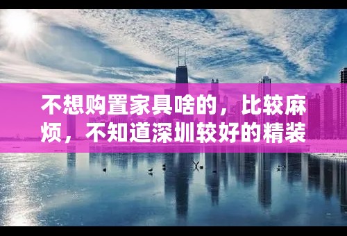 不想购置家具啥的，比较麻烦，不知道深圳较好的精装公寓有哪些？知晓的朋友推荐一下。谢谢了！