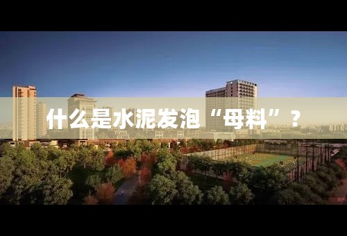 什么是水泥发泡“母料”？