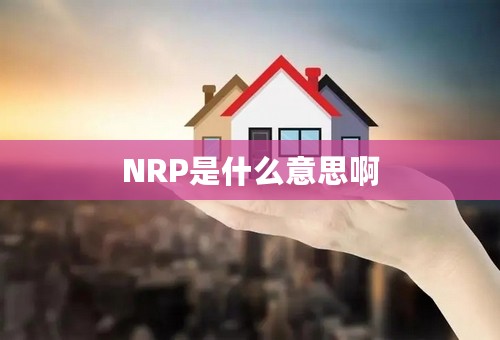 NRP是什么意思啊