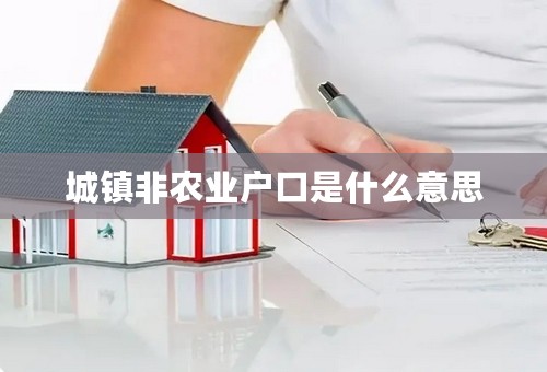 城镇非农业户口是什么意思