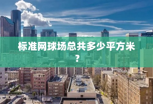 标准网球场总共多少平方米？