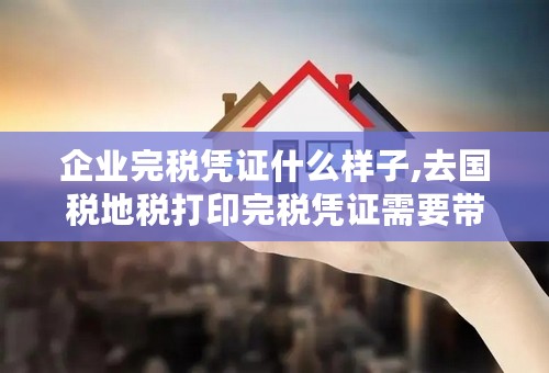 企业完税凭证什么样子,去国税地税打印完税凭证需要带什么材料