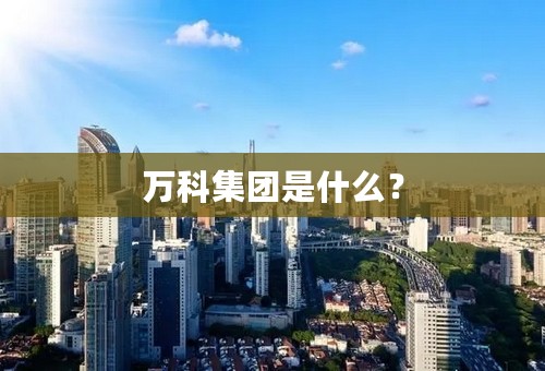 万科集团是什么？