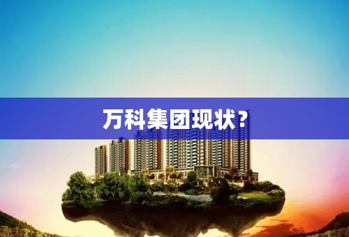 万科集团现状？