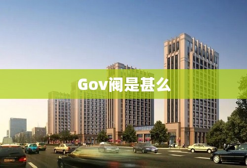 Gov阀是甚么