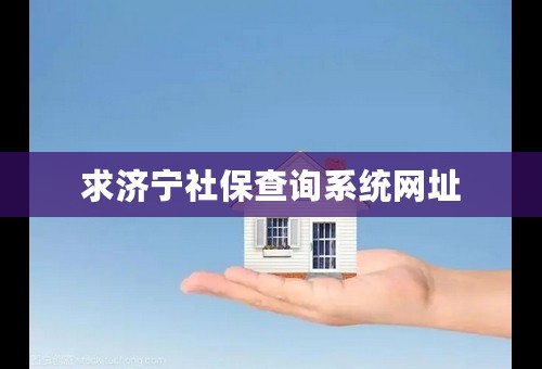 求济宁社保查询系统网址