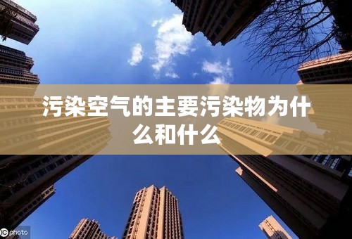 污染空气的主要污染物为什么和什么