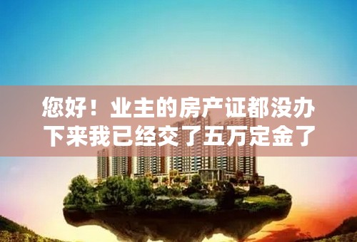 您好！业主的房产证都没办下来我已经交了五万定金了，还需要给业主钱