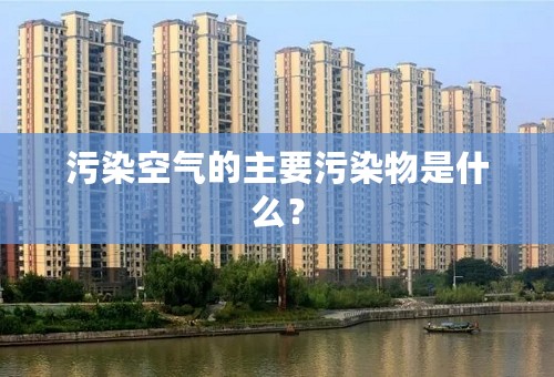 污染空气的主要污染物是什么？