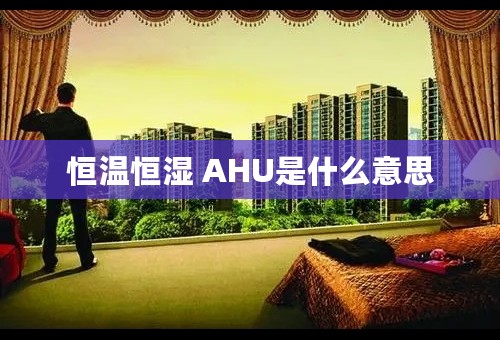 恒温恒湿 AHU是什么意思