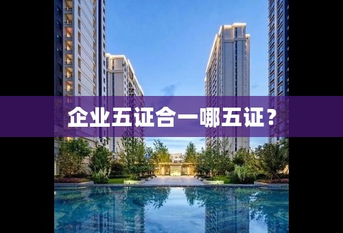 企业五证合一哪五证？