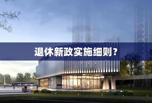 退休新政实施细则？