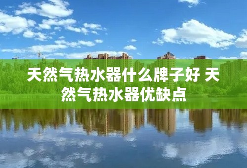 天然气热水器什么牌子好 天然气热水器优缺点